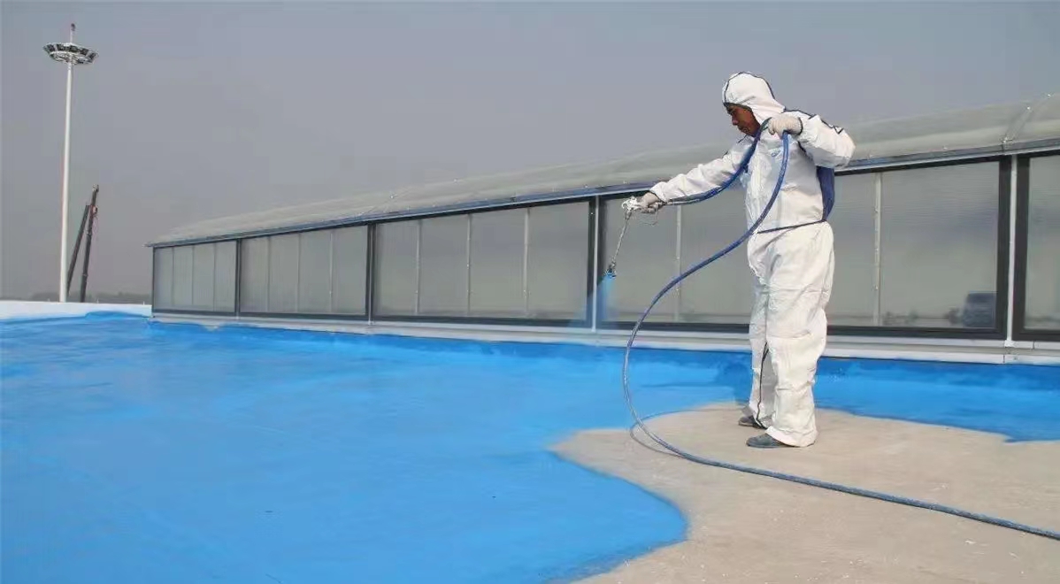 專業(yè)防水，實惠之選 深圳龍邦屋頂防水涂料廠家與公司服務解析